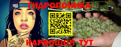 прущий лед Будённовск